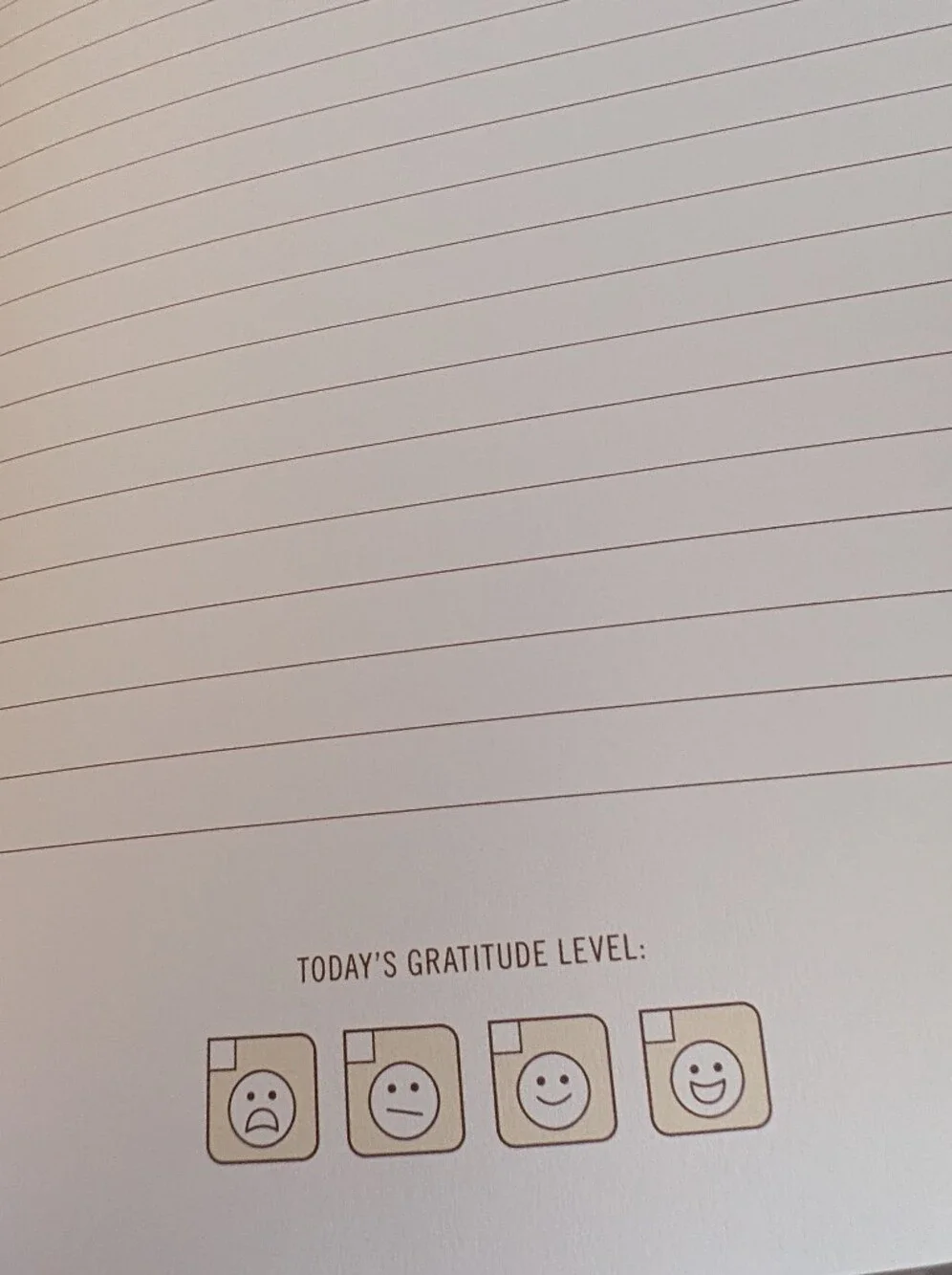 Funny Relatable Inner Truth Journal Choose Your Title Novelty Notebook Gift